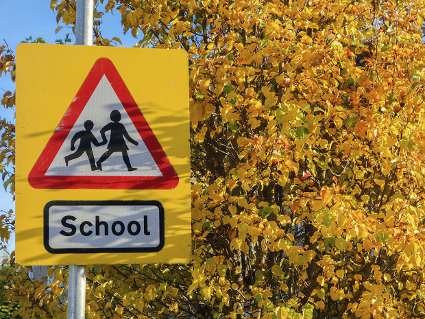 a school road sign in the forefront, trees in the backgroudn, the leaves with a yellow tinge suggesting early onset signs of autumn