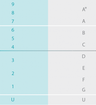 9 1 grading system